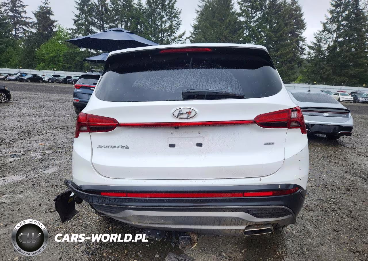 2023 Hyundai Santa Fe Sel VIN:5NMS2DAJ6PH486521 - 6