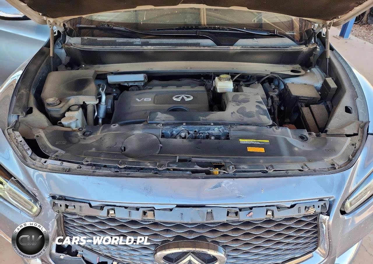 2019 Infiniti Qx60 Pure VIN:5N1DL0MM2KC553090 - 12