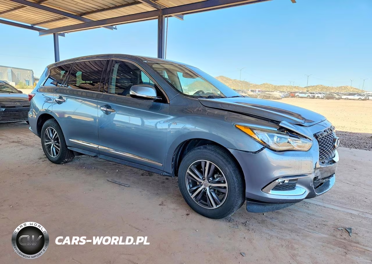 2019 Infiniti Qx60 Pure VIN:5N1DL0MM2KC553090 - 4