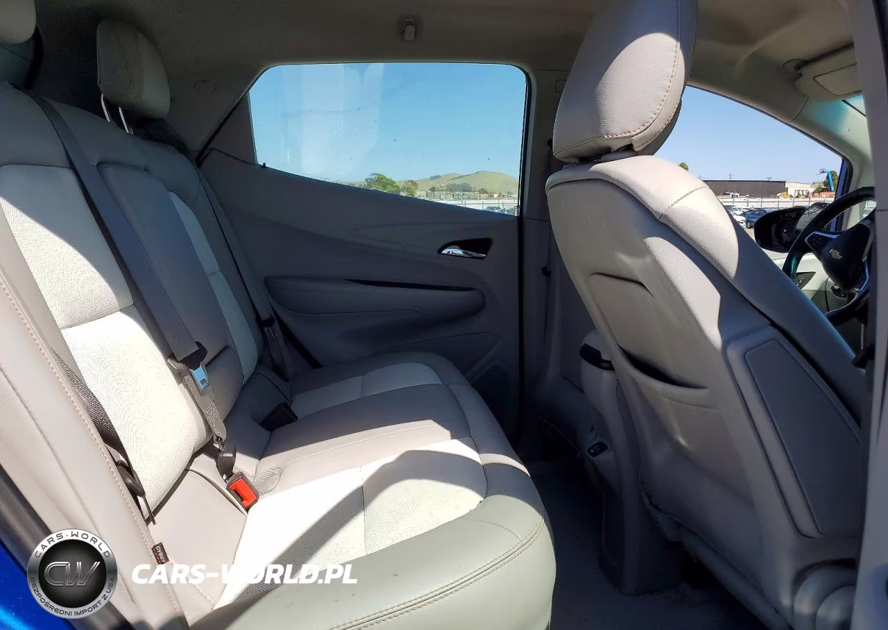 2019 Chevrolet Bolt Ev Premier VIN:1G1FZ6S08K4106216 - 10
