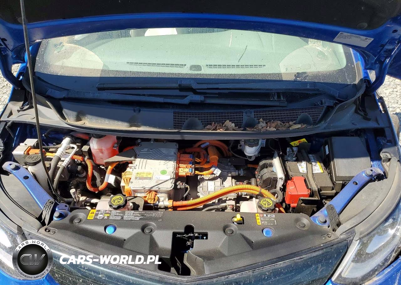 2019 Chevrolet Bolt Ev Premier VIN:1G1FZ6S08K4106216 - 11