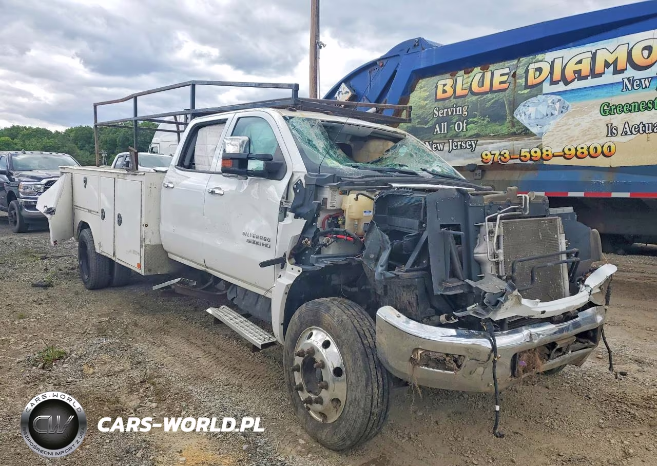 2020 Chevrolet Silverado Medium Duty VIN:1HTKHPVK1LH397585 - 4