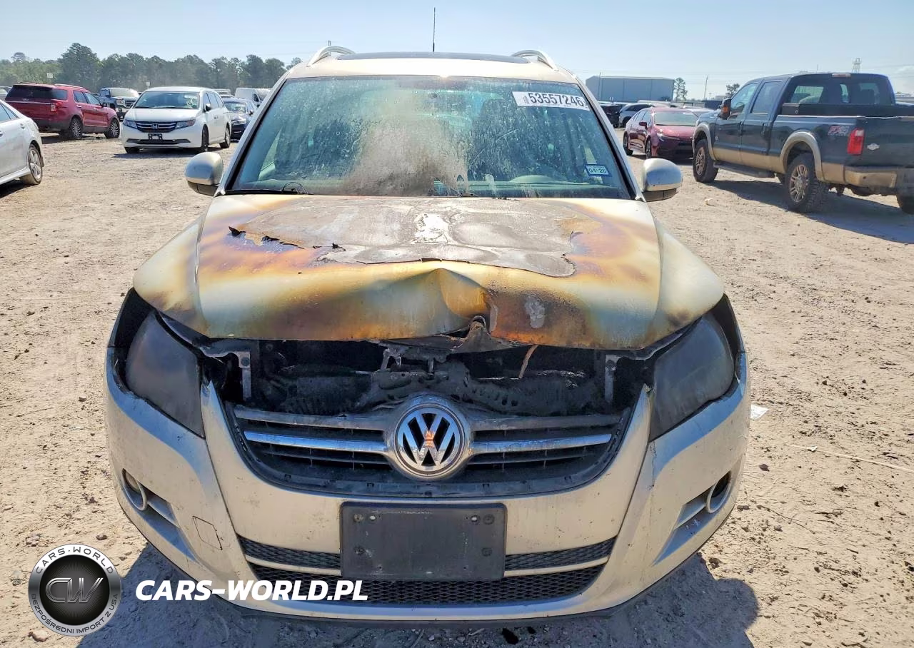 2009 Volkswagen Tiguan S VIN:WVGAV75N39W526826 - 5
