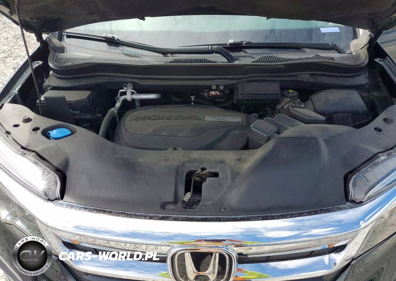 2019 Honda Pilot Exl VIN:5FNYF6H55KB036811 - 12