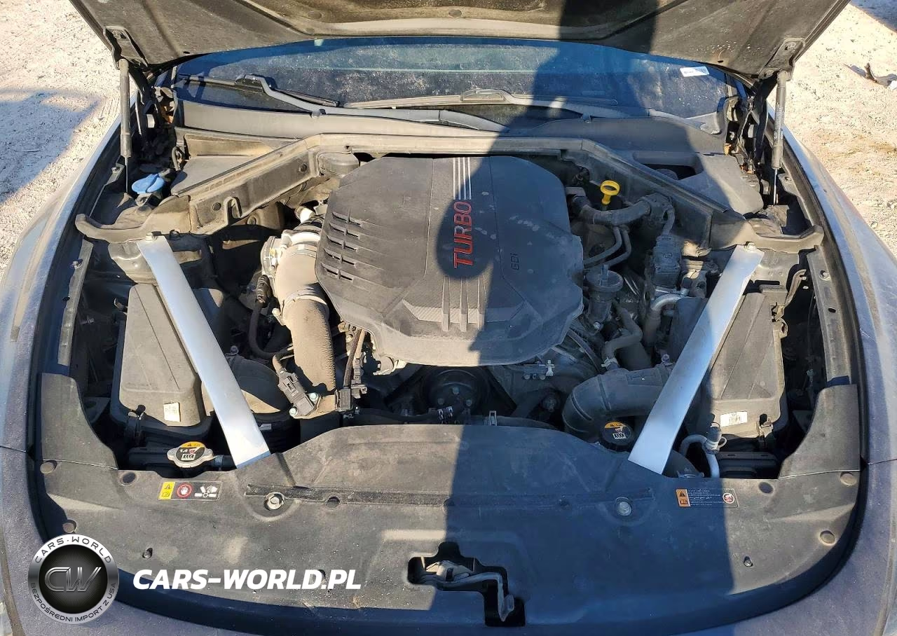 2019 Kia Stinger Gt VIN:KNAE35LC2K6054929 - 11