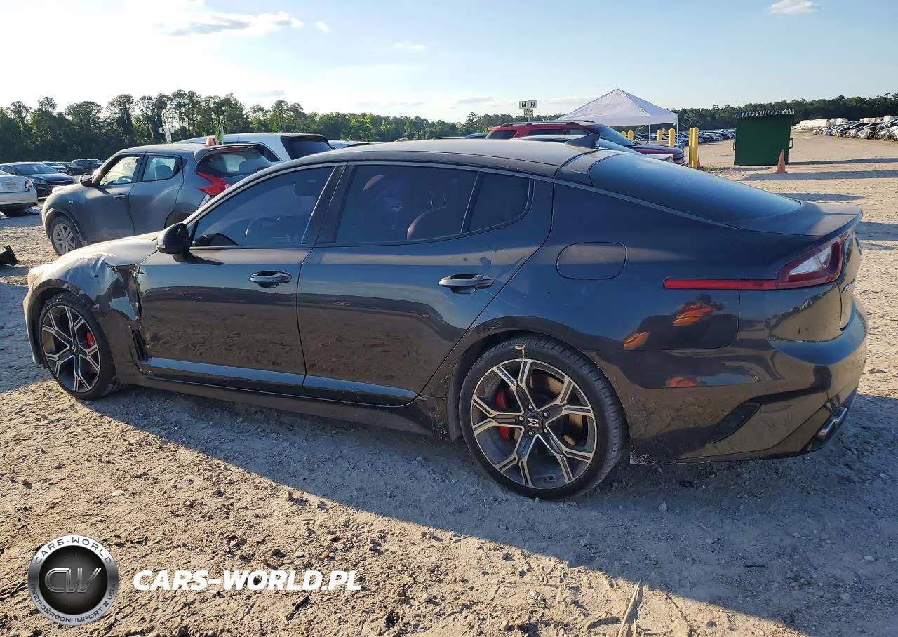 2019 Kia Stinger Gt VIN:KNAE35LC2K6054929 - 2