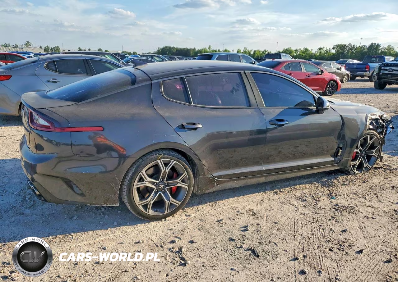2019 Kia Stinger Gt VIN:KNAE35LC2K6054929 - 3
