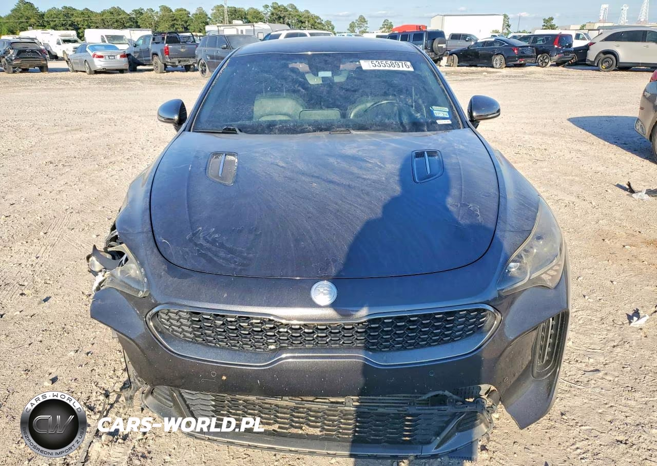 2019 Kia Stinger Gt VIN:KNAE35LC2K6054929 - 5