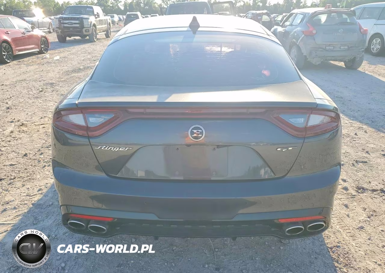 2019 Kia Stinger Gt VIN:KNAE35LC2K6054929 - 6