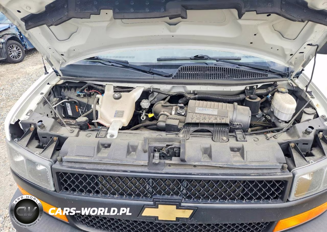 2019 Chevrolet Express G2500 VIN:1GCWGAFB0K1317729 - 12
