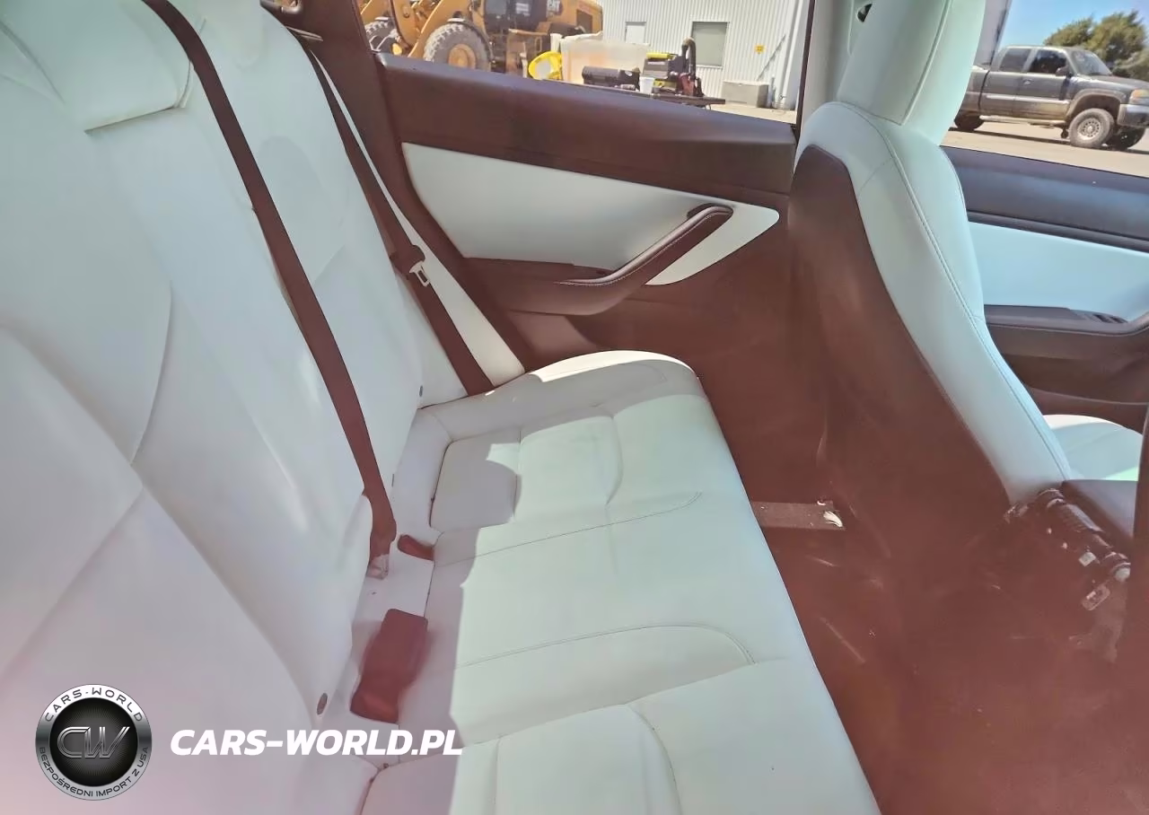 2020 Tesla Model 3 VIN:5YJ3E1EB0LF712819 - 10