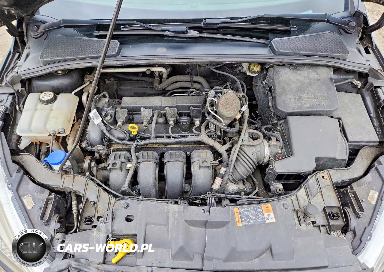 2015 Ford Focus Se VIN:1FADP3K25FL360259 - 11