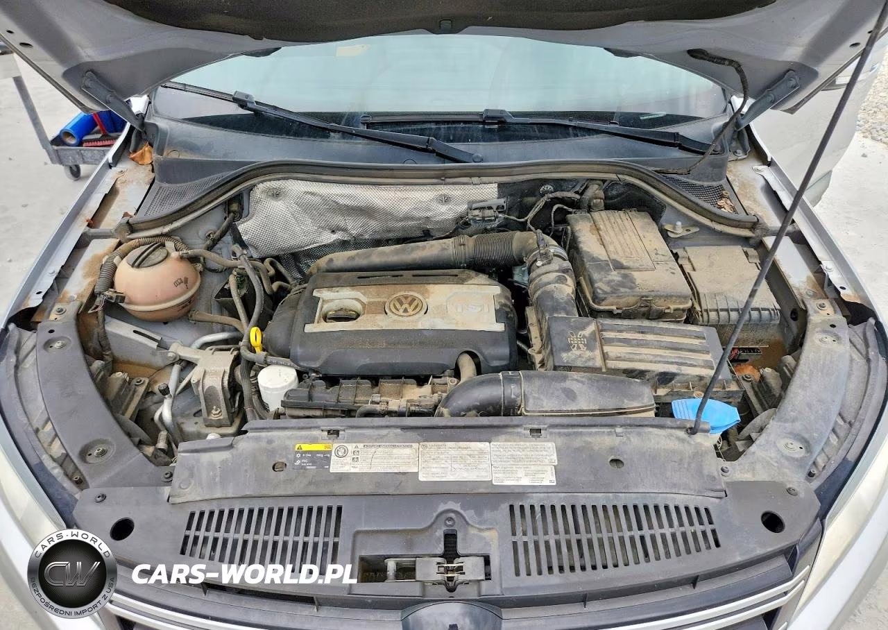 2015 Volkswagen Tiguan S VIN:WVGBV7AX3FW610040 - 12
