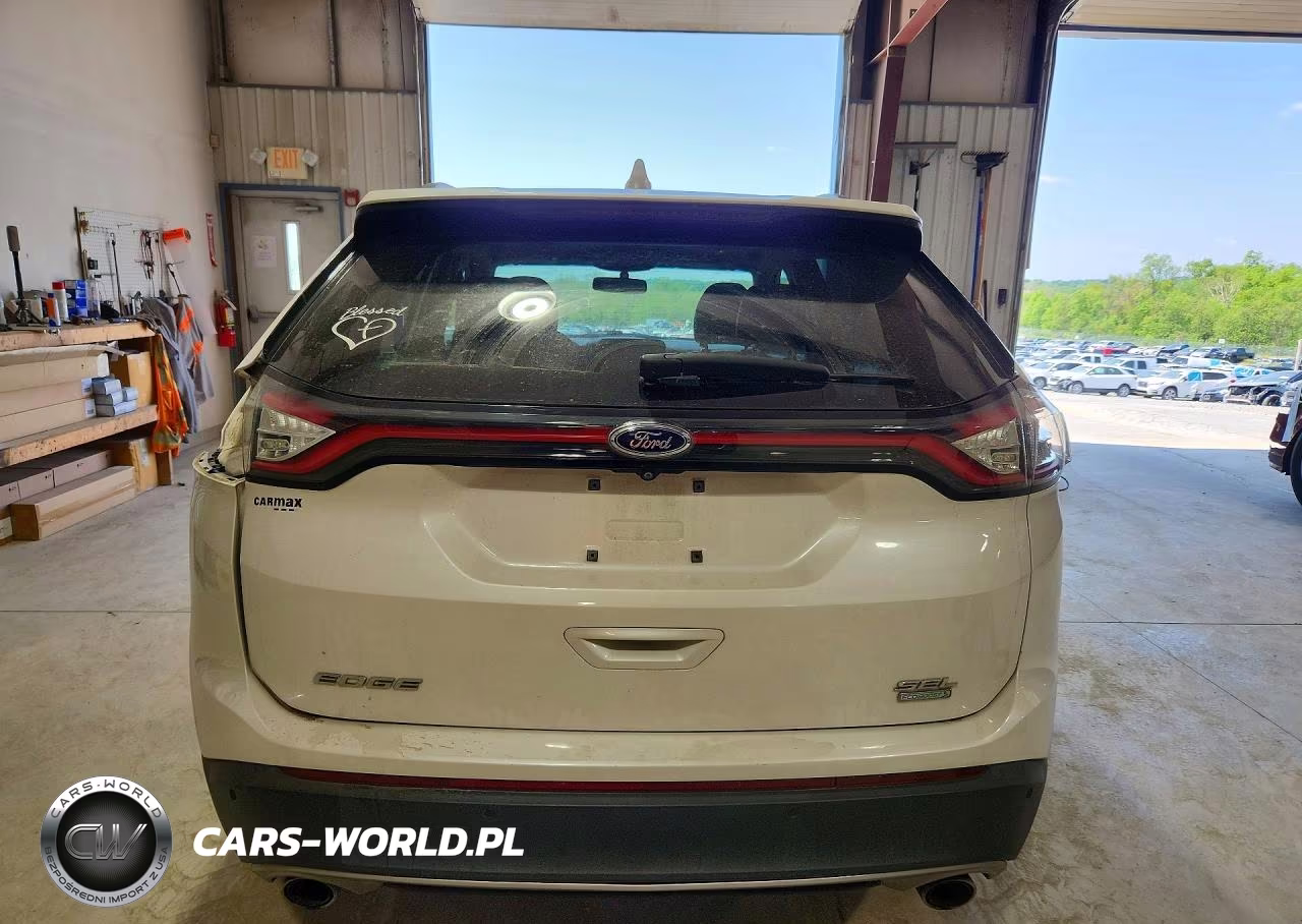 2016 Ford Edge Sel VIN:2FMPK3J90GBC37809 - 6