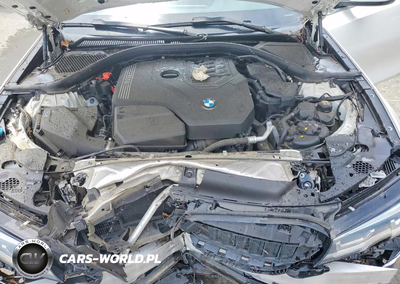 2019 BMW 330I VIN:3MW5R1J57K8B03563 - 11
