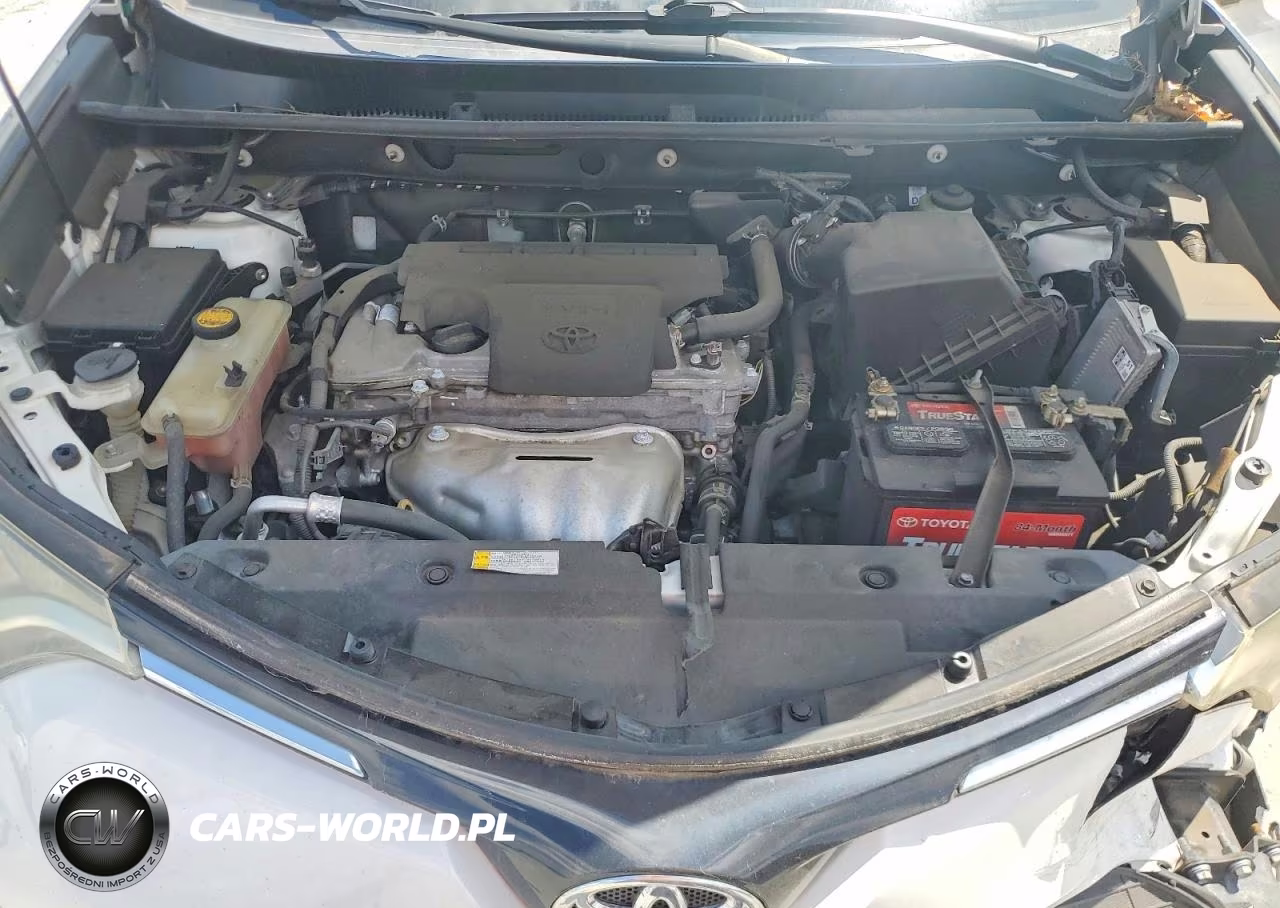 2016 Toyota Rav4 Xle VIN:2T3WFREV0GW268392 - 12