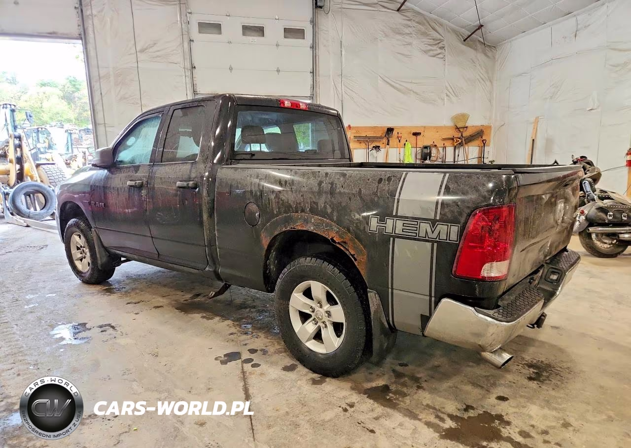 2010 Dodge 1500 VIN:1D7RV1GT6AS217725 - 2