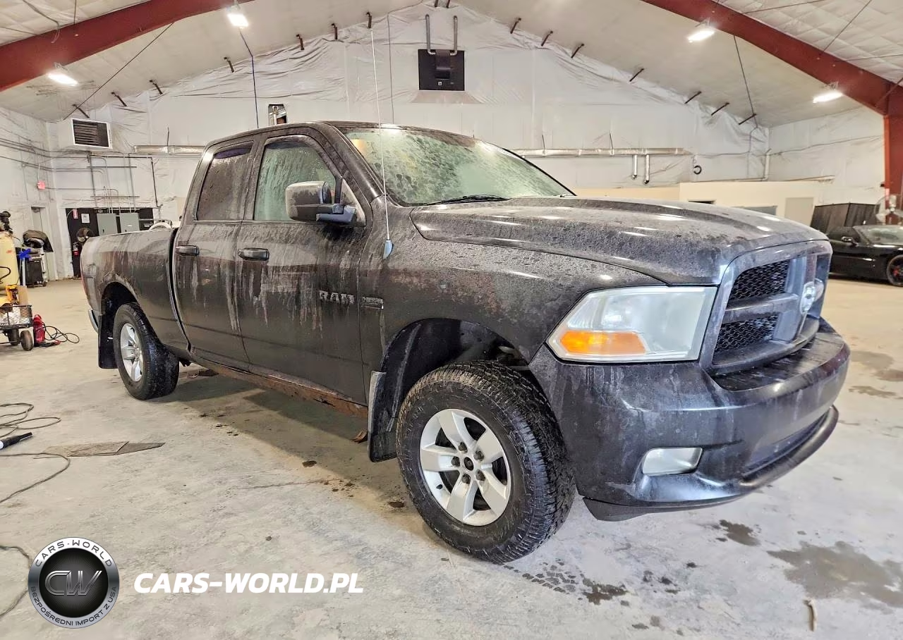 2010 Dodge 1500 VIN:1D7RV1GT6AS217725 - 4