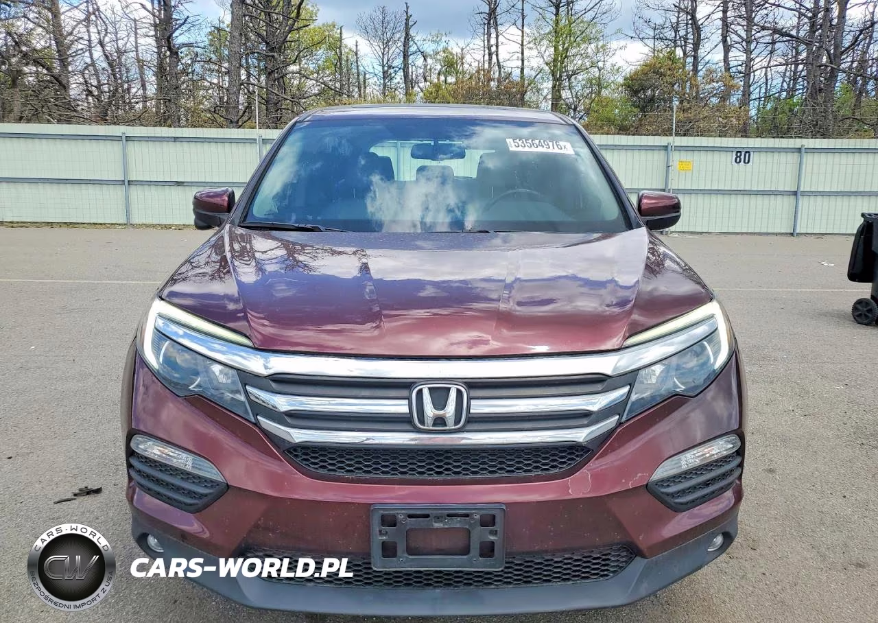 2018 Honda Pilot Exl VIN:5FNYF6H57JB024562 - 5