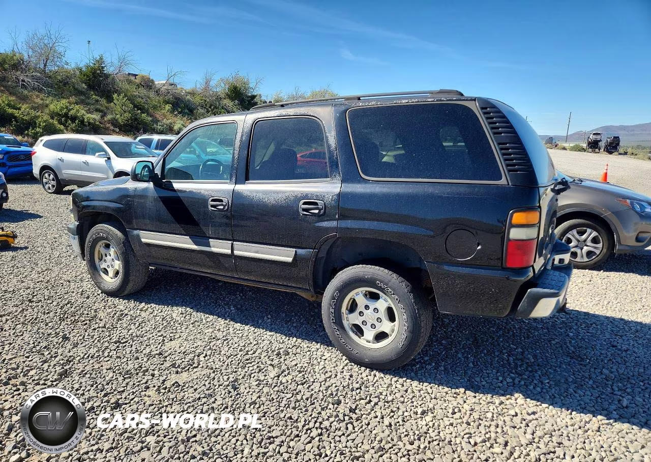 2004 Chevrolet Tahoe K1500 VIN:1GNEK13T44J220941 - 2
