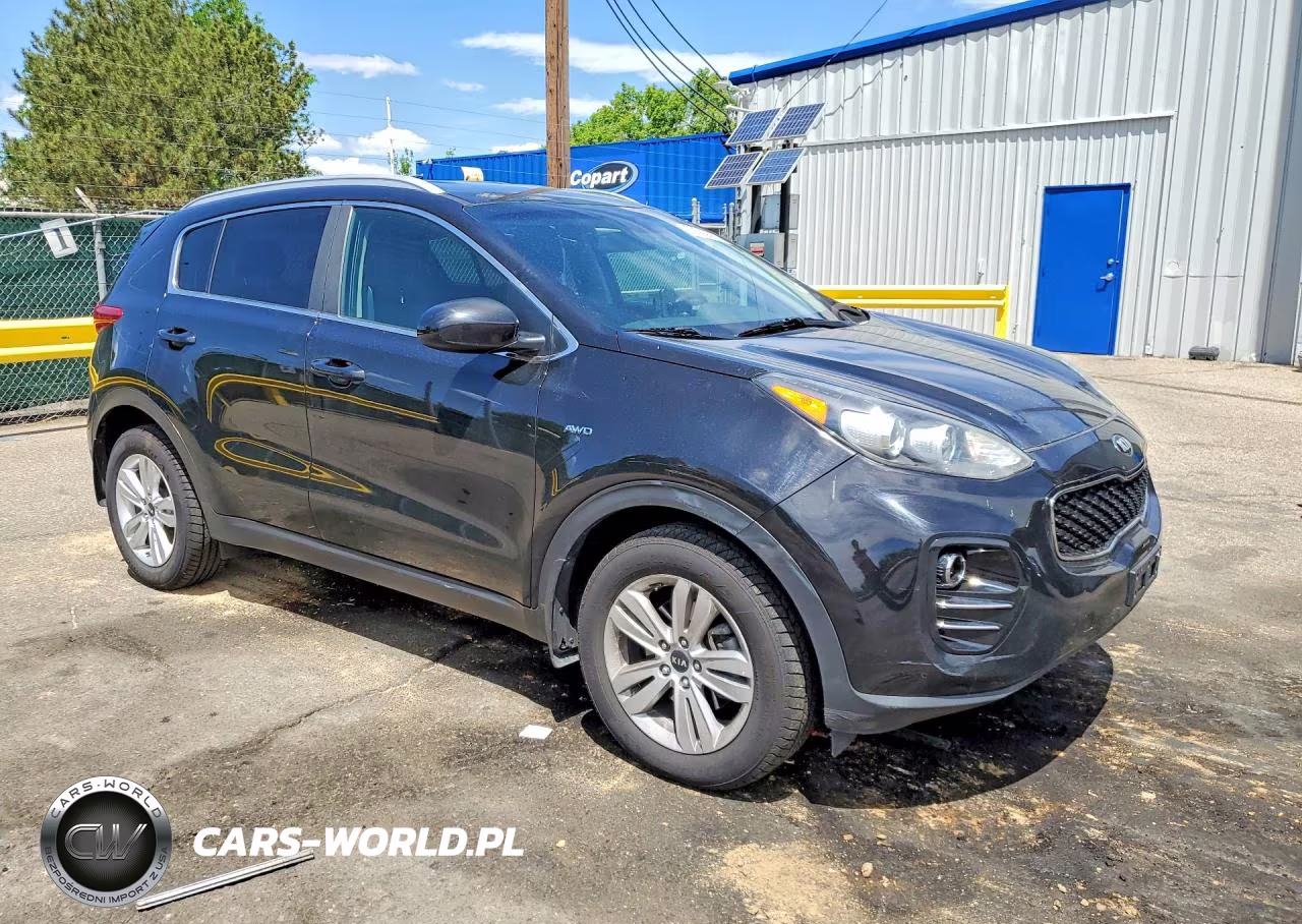 2017 Kia Sportage Lx VIN:KNDPMCAC8H7116692 - 4