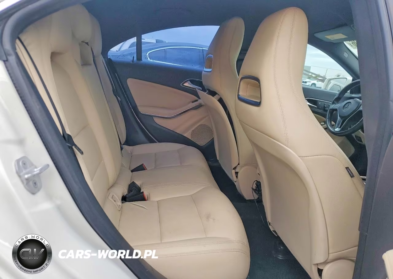 2014 Mercedes-Benz Cla 250 VIN:WDDSJ4EB7EN104962 - 10