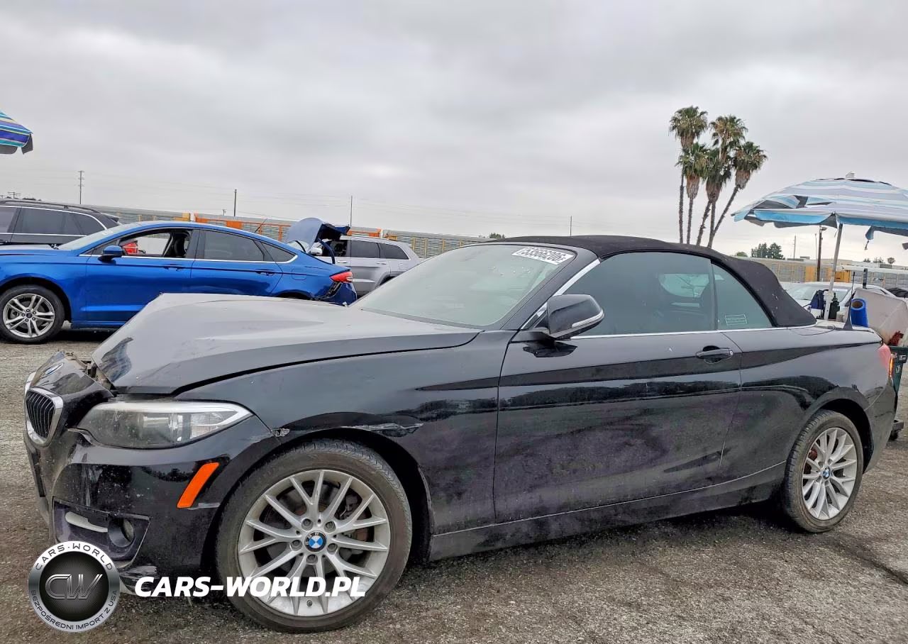 2016 BMW 228 I Sulev