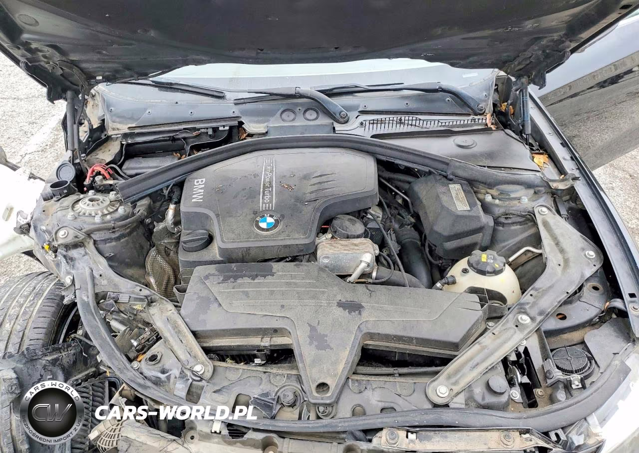 2016 BMW 228 I Sulev VIN:WBA1K9C57GV321893 - 11
