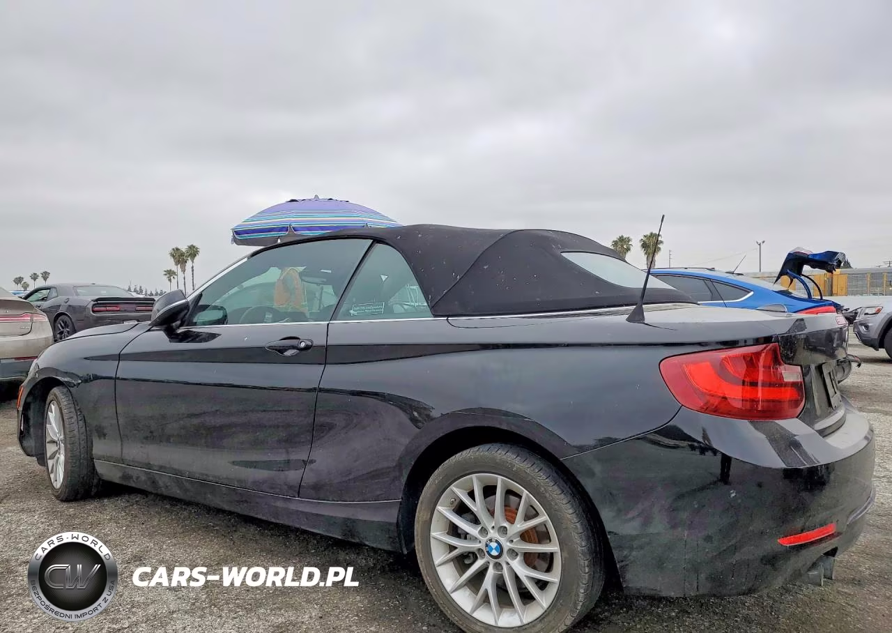 2016 BMW 228 I Sulev VIN:WBA1K9C57GV321893 - 2