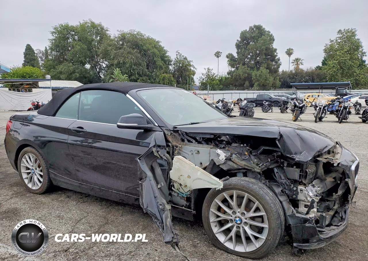 2016 BMW 228 I Sulev VIN:WBA1K9C57GV321893 - 4