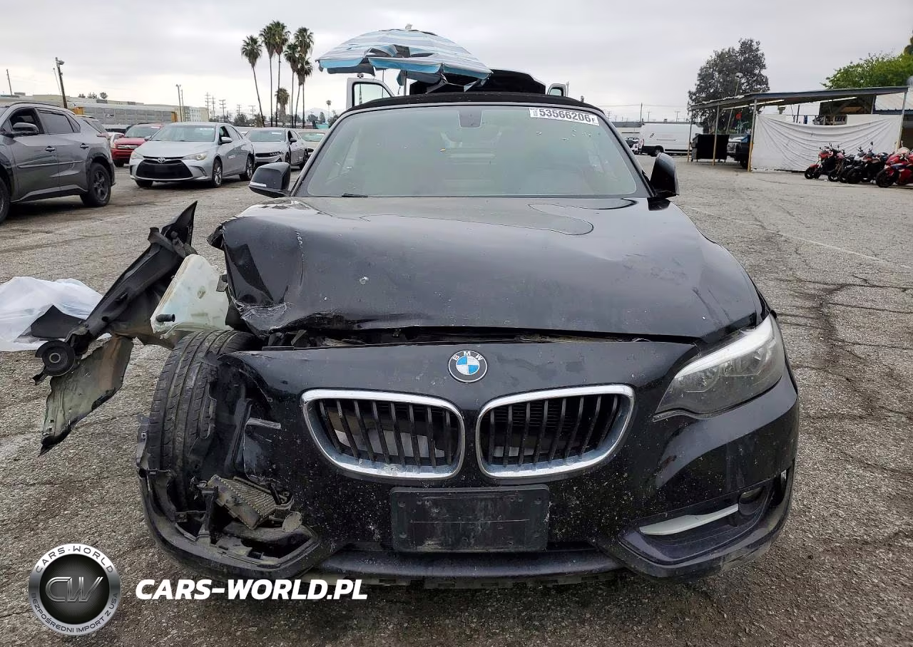 2016 BMW 228 I Sulev VIN:WBA1K9C57GV321893 - 5
