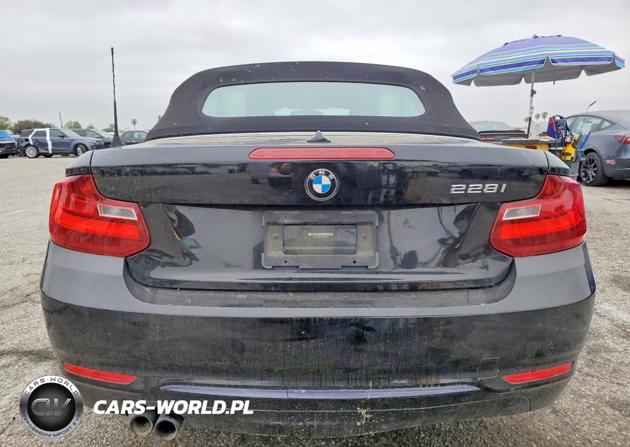 2016 BMW 228 I Sulev VIN:WBA1K9C57GV321893 - 6