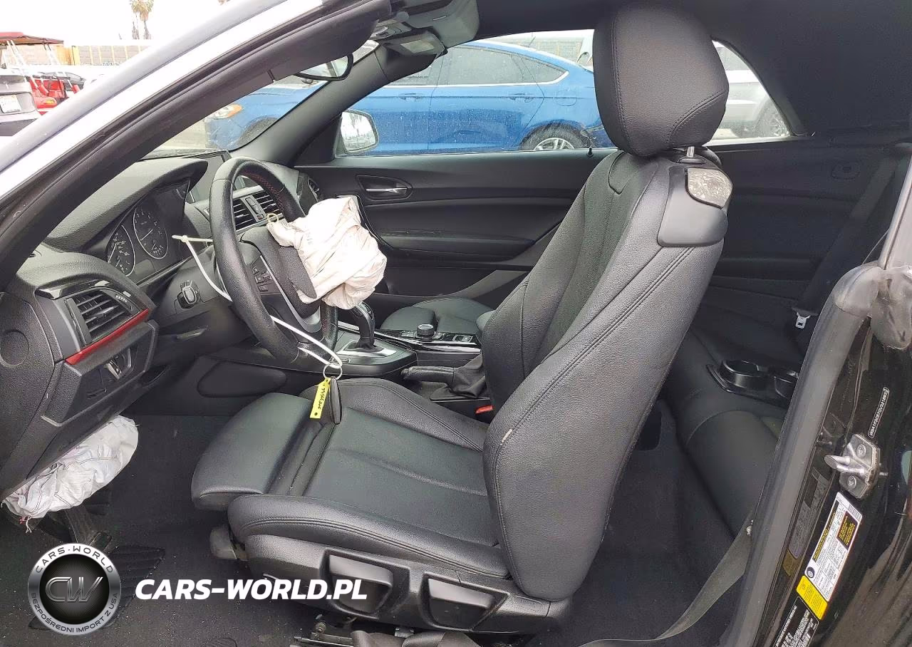 2016 BMW 228 I Sulev VIN:WBA1K9C57GV321893 - 7