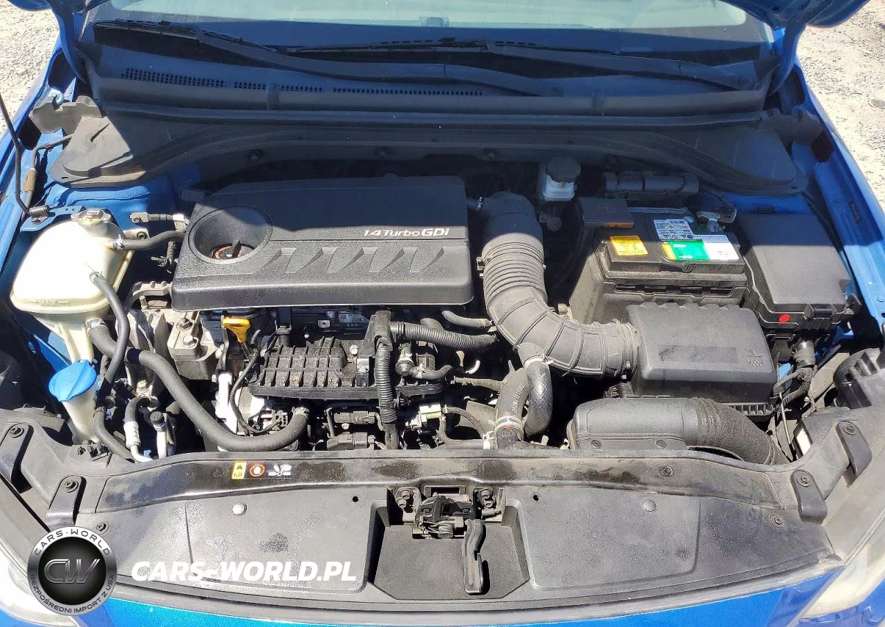 2017 Hyundai Elantra Eco VIN:5NPD94LA4HH090822 - 11