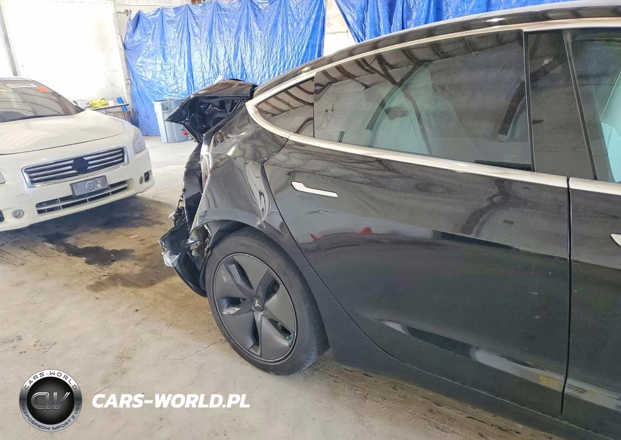 2019 Tesla Model 3 VIN:5YJ3E1EAXKF314765 - 10