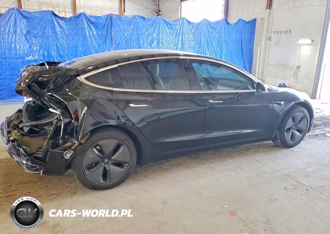 2019 Tesla Model 3 VIN:5YJ3E1EAXKF314765 - 3