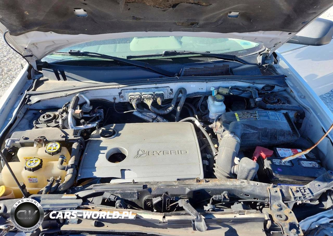 2009 Ford Escape Hybrid VIN:1FMCU49329KD10427 - 12