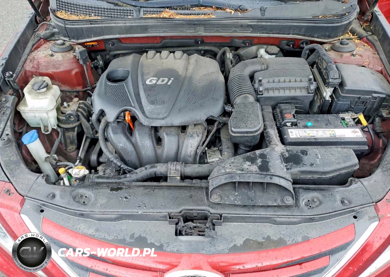 2014 Hyundai Sonata Gls VIN:5NPEB4ACXEH820306 - 11