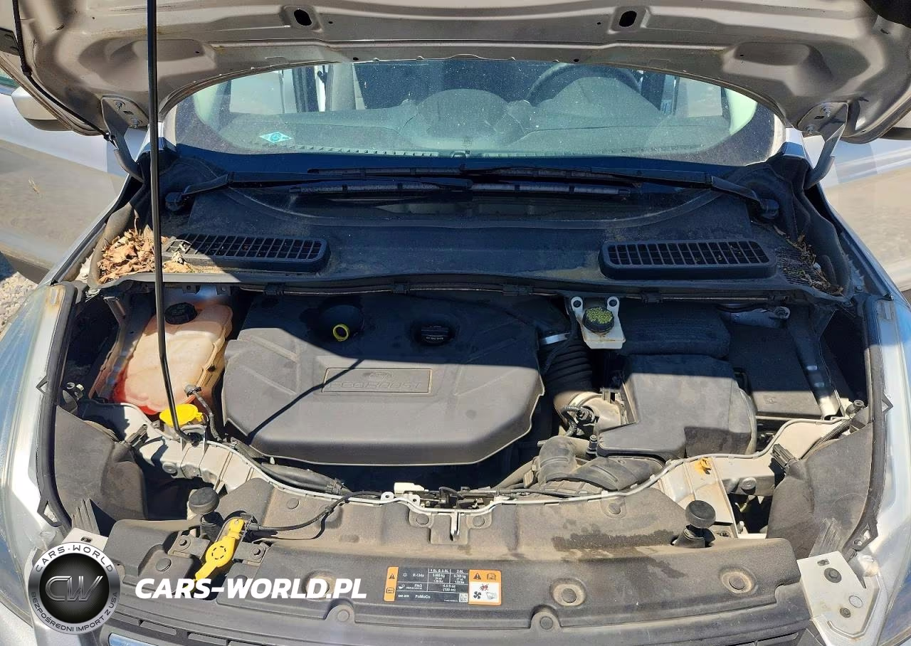 2015 Ford Escape VIN:1FMCU0G99FUB80968 - 12