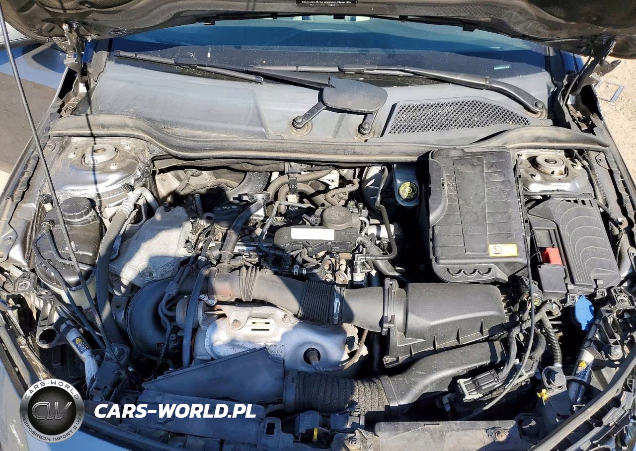 2014 Mercedes-Benz Cla 250 VIN:WDDSJ4EB5EN122618 - 11