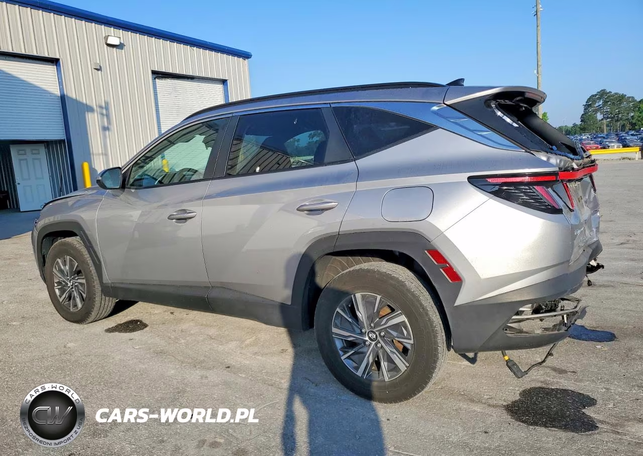 2023 Hyundai Tucson Blue VIN:KM8JBCA1XPU130101 - 2