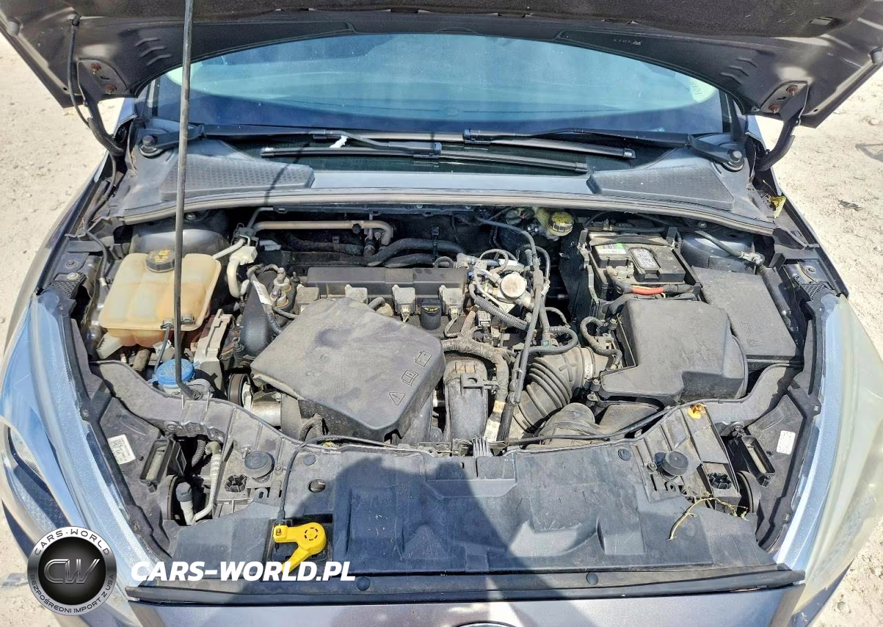 2016 Ford Focus Se VIN:1FADP3F20GL387283 - 11