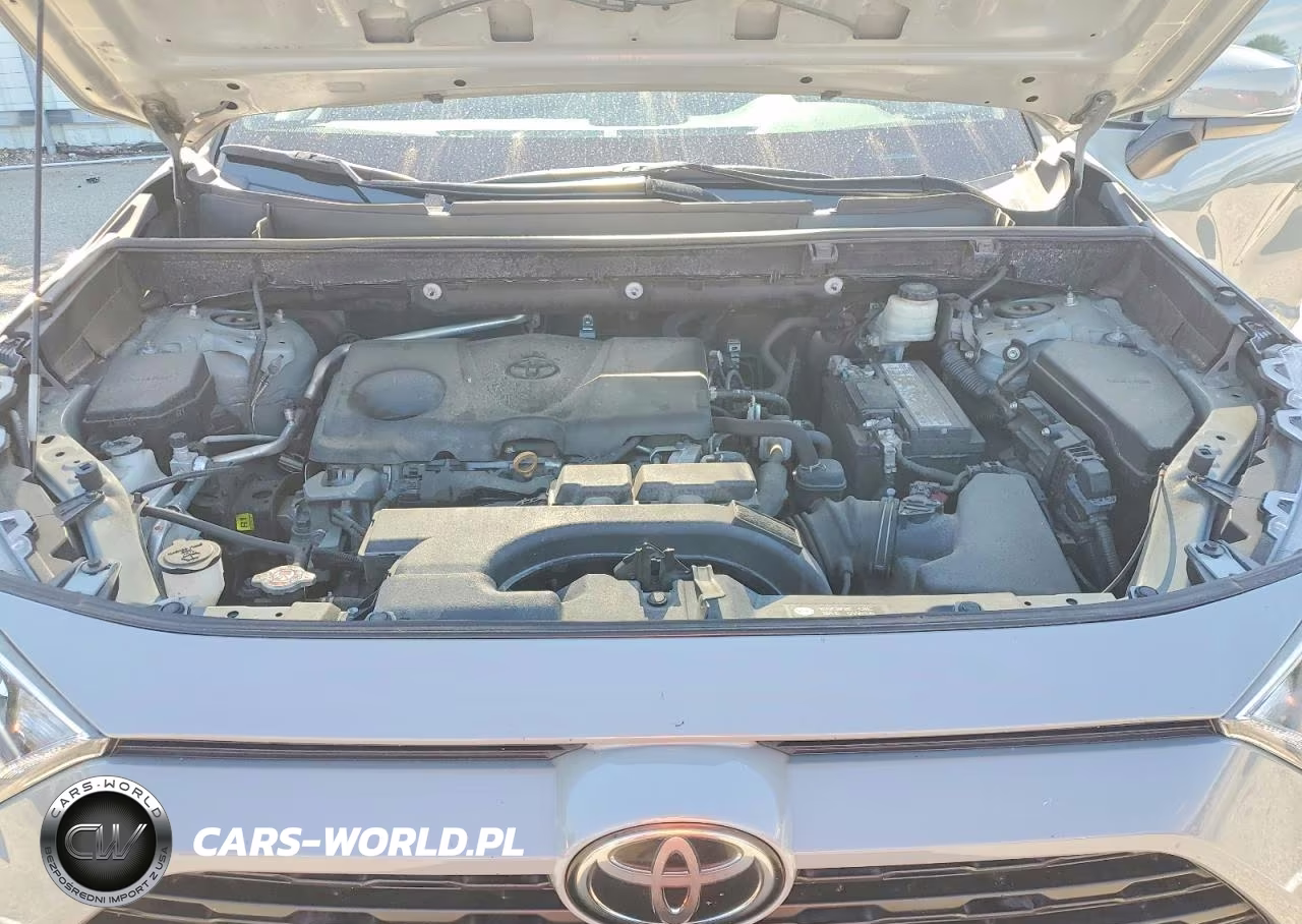 2019 Toyota Rav4 Xle VIN:2T3P1RFV0KW039558 - 12
