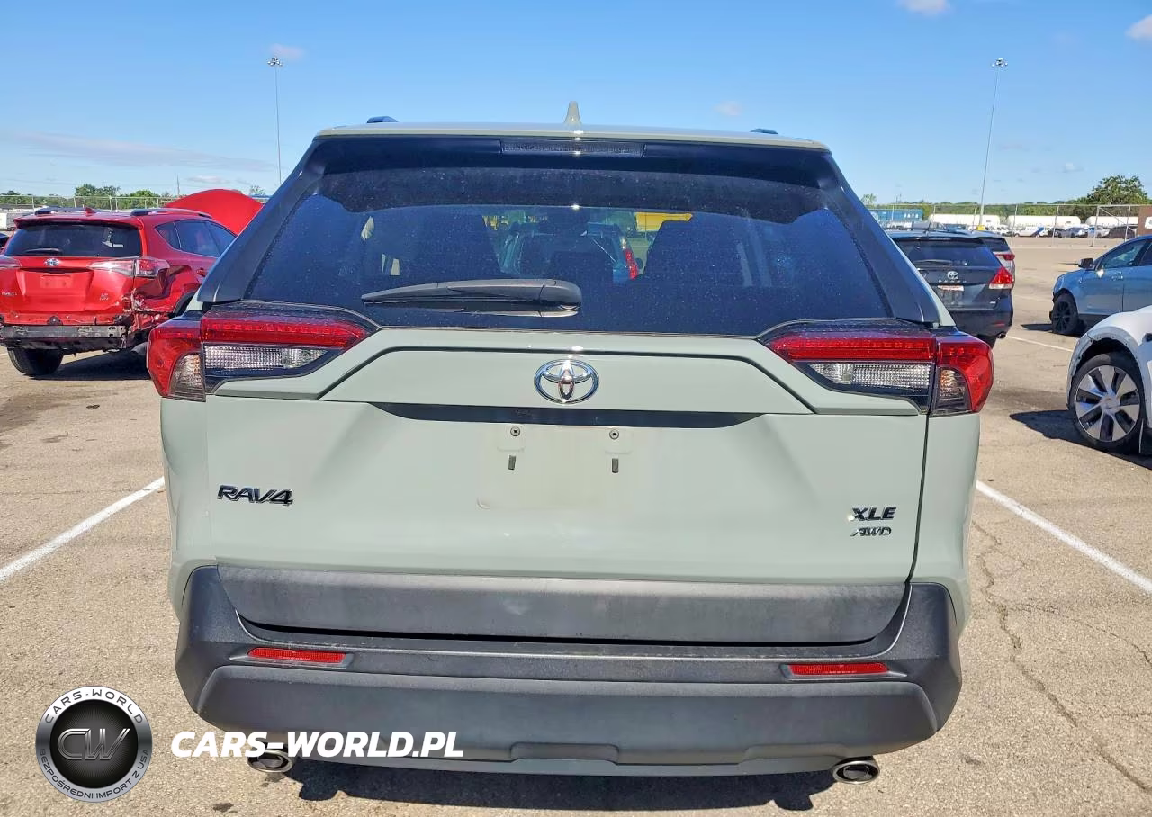2019 Toyota Rav4 Xle VIN:2T3P1RFV0KW039558 - 6