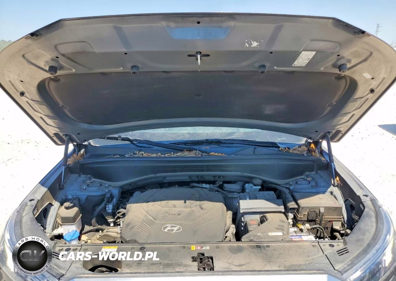 2022 Hyundai Palisade Calligraphy VIN:KM8R74HE2NU445314 - 12