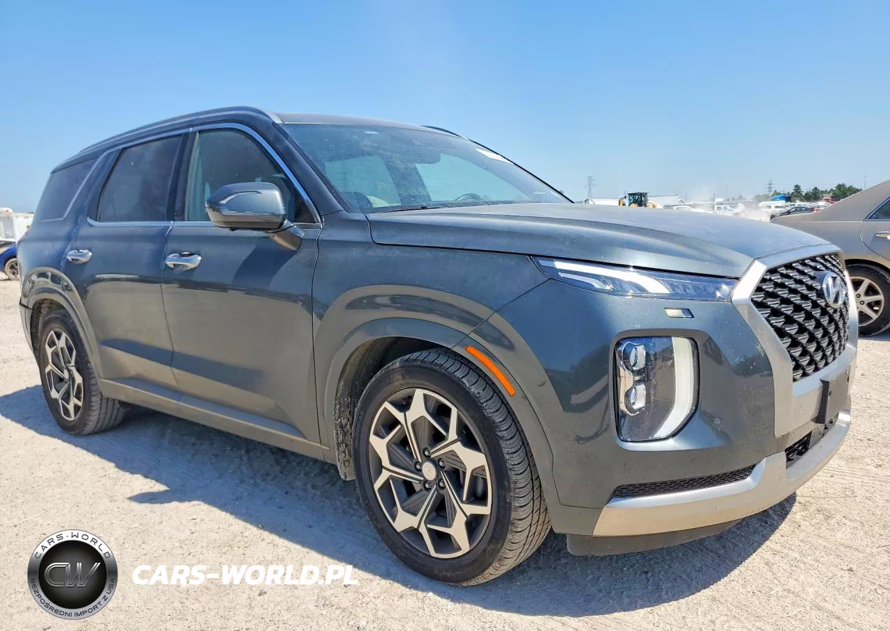 2022 Hyundai Palisade Calligraphy VIN:KM8R74HE2NU445314 - 4