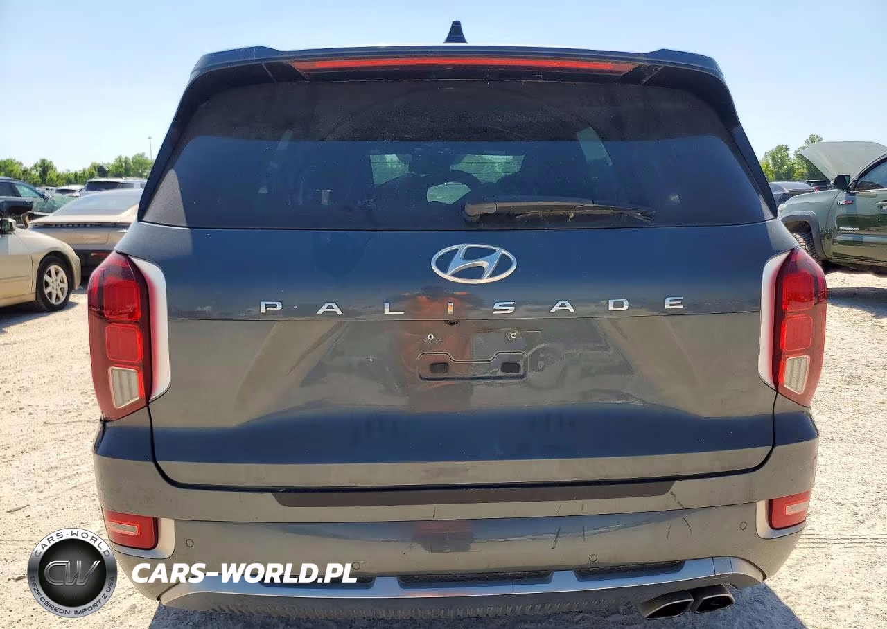 2022 Hyundai Palisade Calligraphy VIN:KM8R74HE2NU445314 - 6