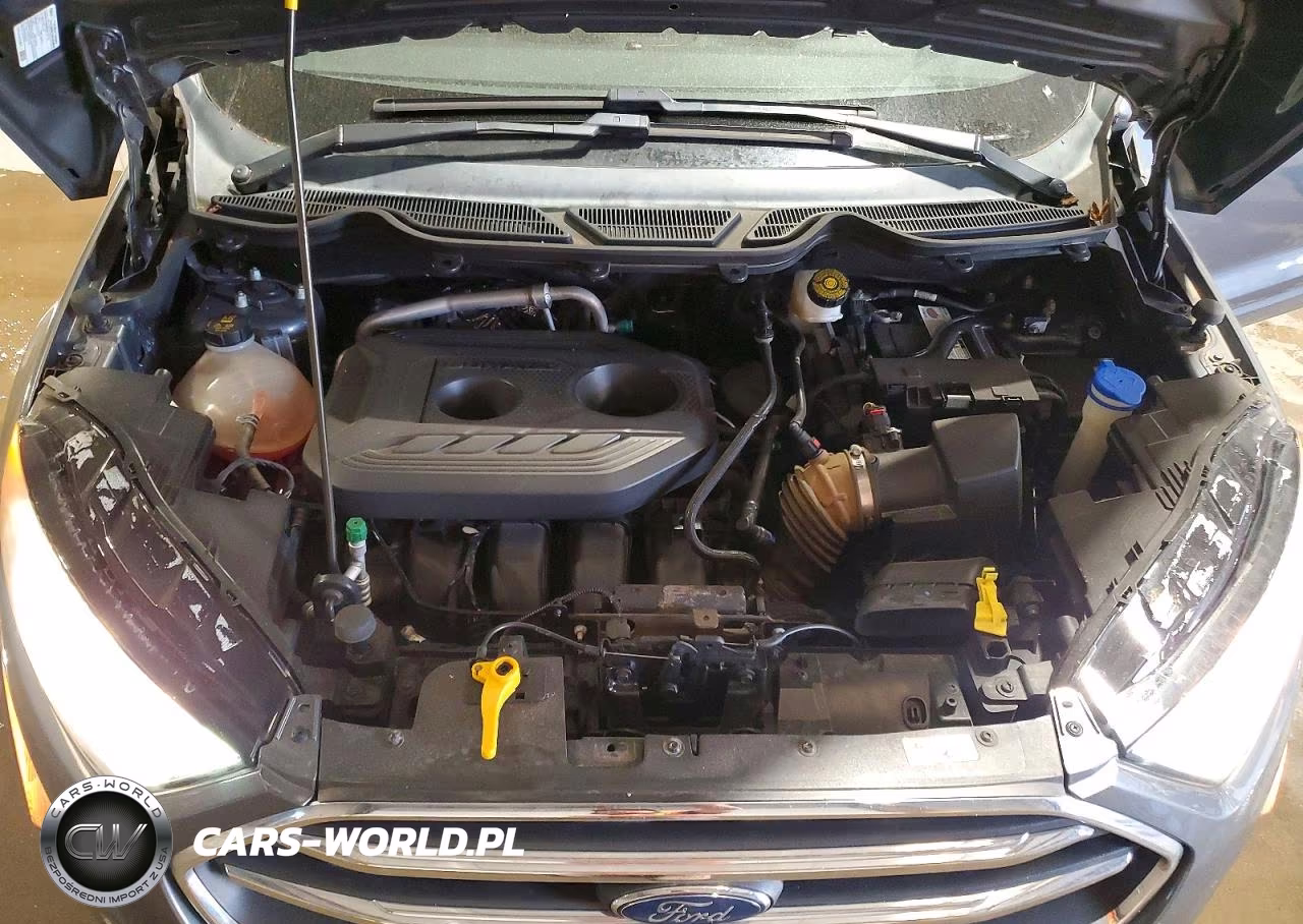 2019 Ford Ecosport Titanium VIN:MAJ6S3KL1KC289782 - 12
