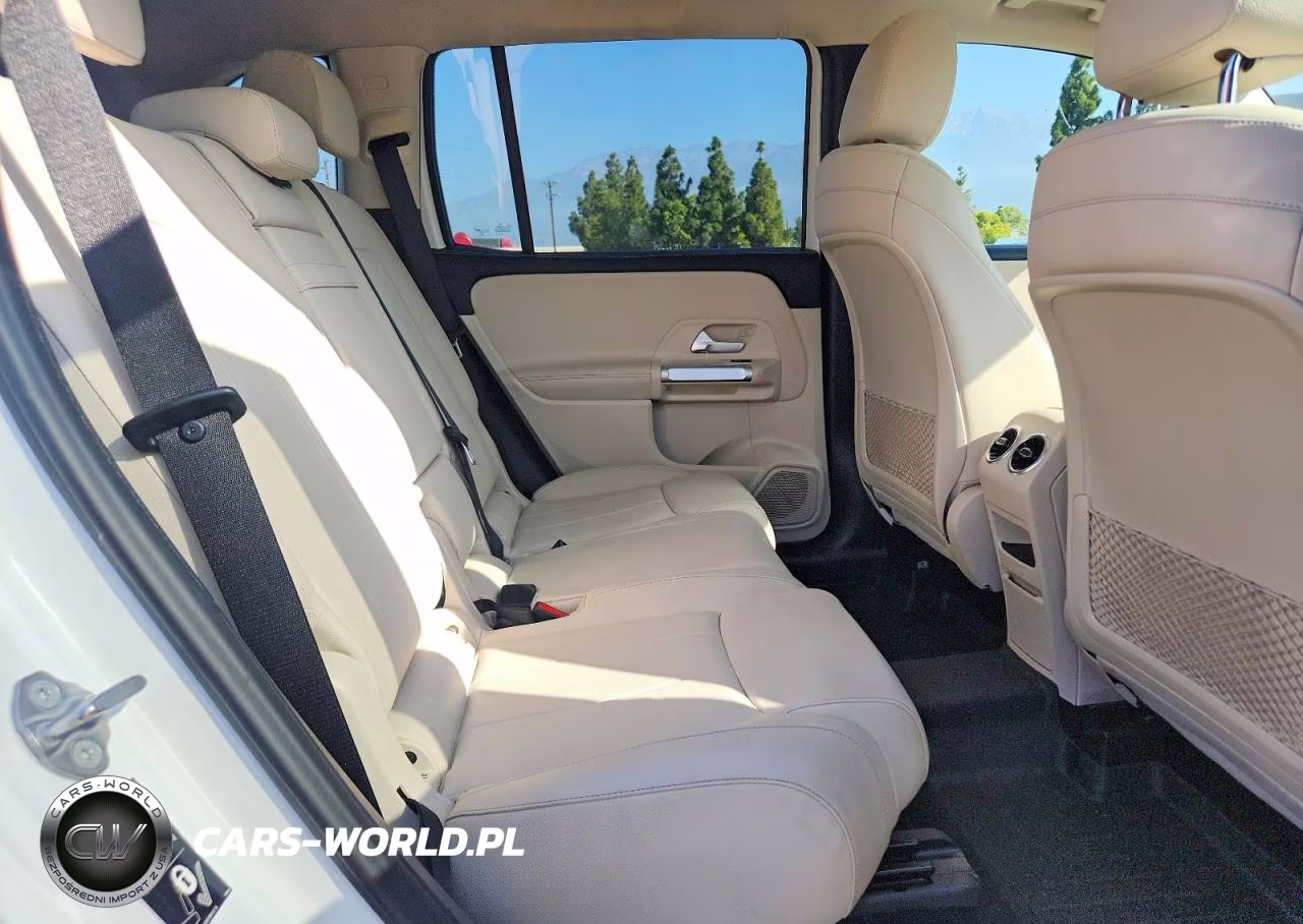 2020 Mercedes-Benz Glb 250 VIN:WDC4M4GB8LW011683 - 11