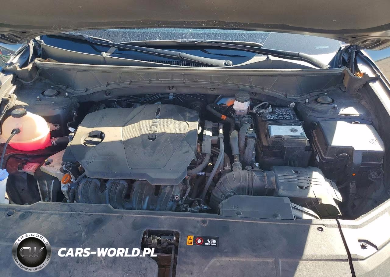 2023 Hyundai Tucson Limited VIN:5NMJE3AE9PH233905 - 11